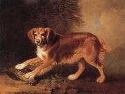 Benjamin Marshall, A Celebrated spaniel,the property of colonel joliffe,in a landscape with a woodcock